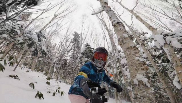 Blessed to be in sunny warm Thailand but we do miss powder tree runs like this 🏂🏂 
@clubmed @clubmedtomamu
#LOLGOjapan #LOLDOsnowboarding #ClubMedTomamu #tomamu
#ClubmedAmazingYou
 .
.
.
.
.
.
#goprohero8black #GoProThailand #goprooftheday #mentagramthailand #tomamu  #treeruns #offpiste #backcountry #japaneseforest #japow #powday #shredders #bluebirdday #jonesmindexpander #jonessnowboards #girlswhosnowboard