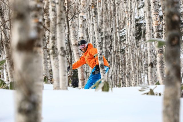 Let's take a stroll in the woods 
 🏂🏂 
@clubmed @clubmedtomamu
#LOLGOjapan #LOLDOsnowboarding #ClubMedTomamu #tomamu
#ClubmedAmazingYou
 .
.
.
.
.
.
 #tomamu  #treeruns #offpiste #backcountry #japaneseforest #japow #powday #shredders #bluebirdday #jonesmindexpander #jonessnowboards #japow #treeruns #shredding #shredders #japaneseforest