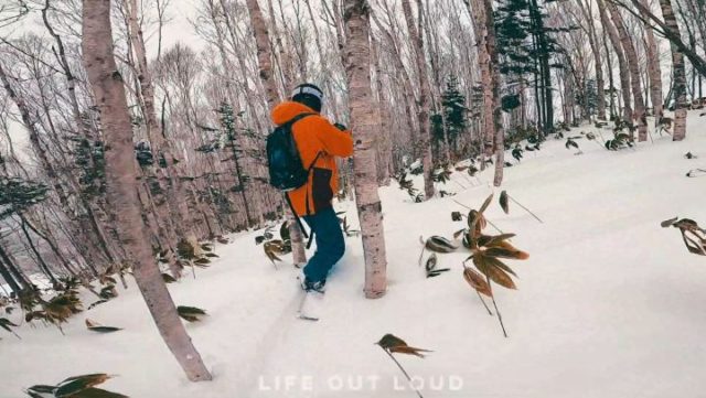 Who misses tree runs? 🙋‍♂️🙋‍♀️🏂🏂
@clubmed @clubmedtomamu
📷 by @ctepe0
#LOLGOjapan #LOLDOsnowboarding #ClubMedTomamu #tomamu
#ClubmedAmazingYou
 .
.
.
.
.
.
#goprohero8black #GoProThailand #goprooftheday #mentagramthailand #mentagramthailand #tomamu  #treeruns #offpiste #backcountry #japaneseforest #japow #powday #shredders #highonpowder  #jonesmindexpander #jonessnowboards